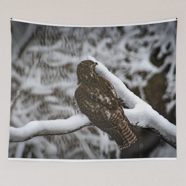 Item preview, H0138 Hawk designed and sold by photographyemd.