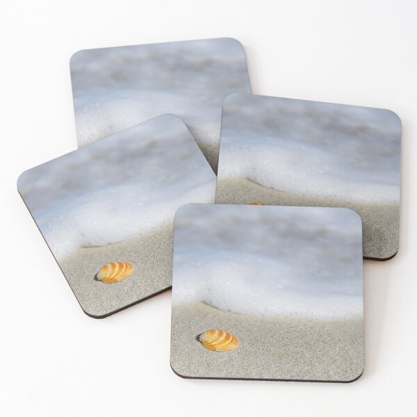 Item preview, See Shell designed and sold by Jay Heifetz.