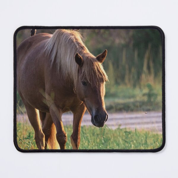 Item preview, Free Ride designed and sold by Vitirelli.