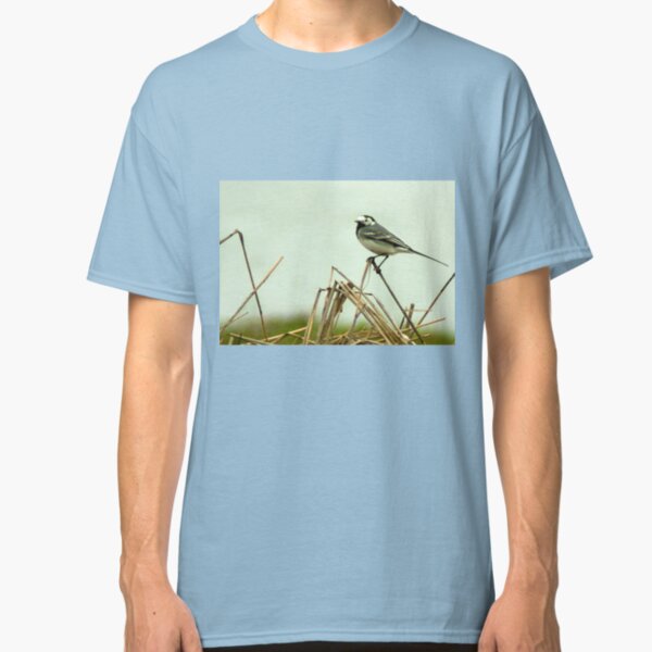 Pied Wagtail looking out... Classic T-Shirt