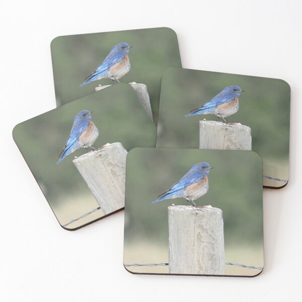 Artikelvorschau, Männliche Western Bluebird entworfen und verkauft von happynaturalist.
