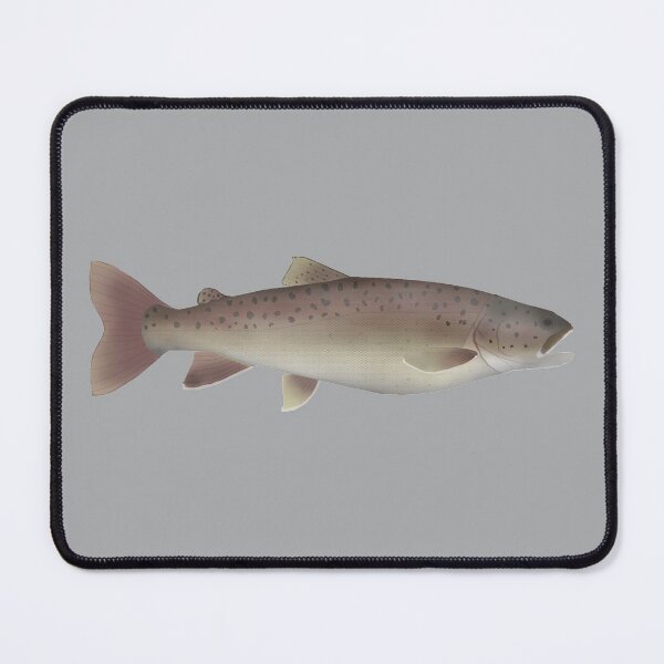 Item preview, Boganida Char designed and sold by fishfolkart.