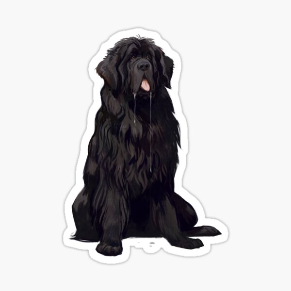 Newfoundland dog items hotsell