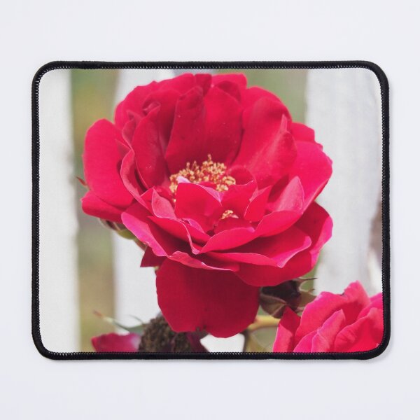 Red Rose and White Fence Mouse Pad