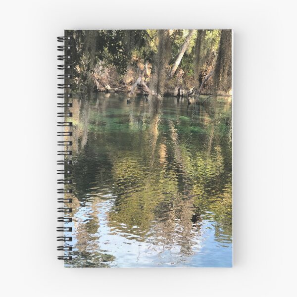 Aperçu de l'œuvre Sources de Floride créée et vendue par CaptureMagic.