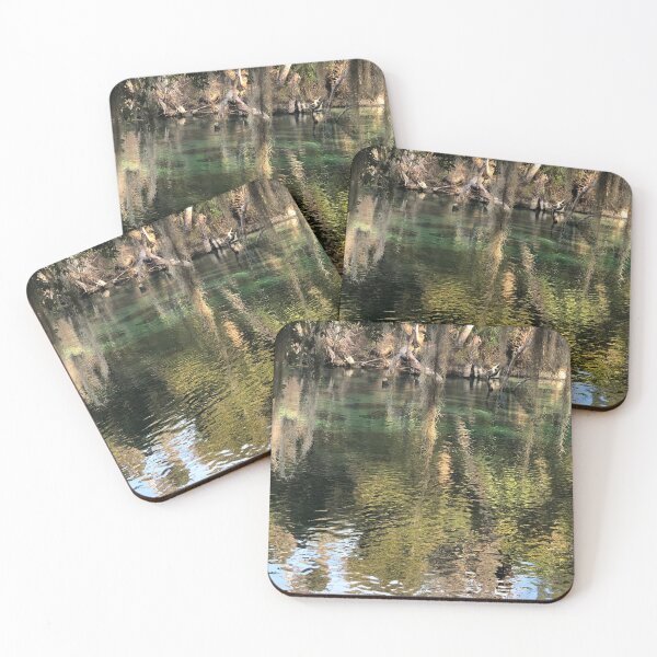 Item preview, Florida springs designed and sold by CaptureMagic.