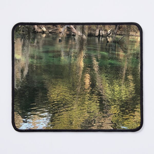 Item preview, Florida springs designed and sold by CaptureMagic.