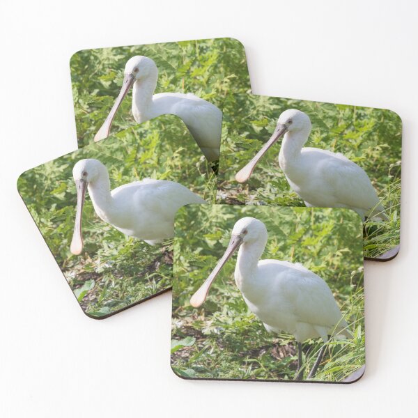 Item preview, Spoonbill designed and sold by LaurenTucker.