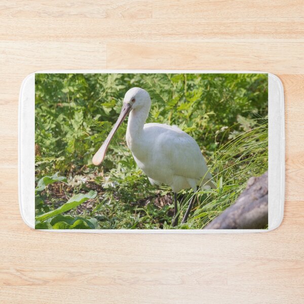 Item preview, Spoonbill designed and sold by LaurenTucker.
