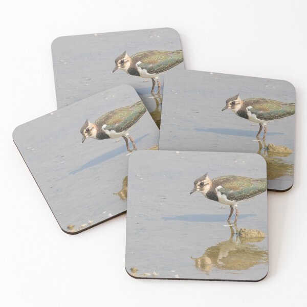 Item preview, Lapwing designed and sold by LaurenTucker.