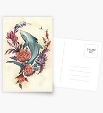 Floral Shark Postcards