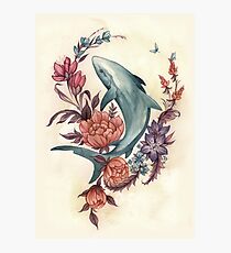 Floral Shark Photographic Print