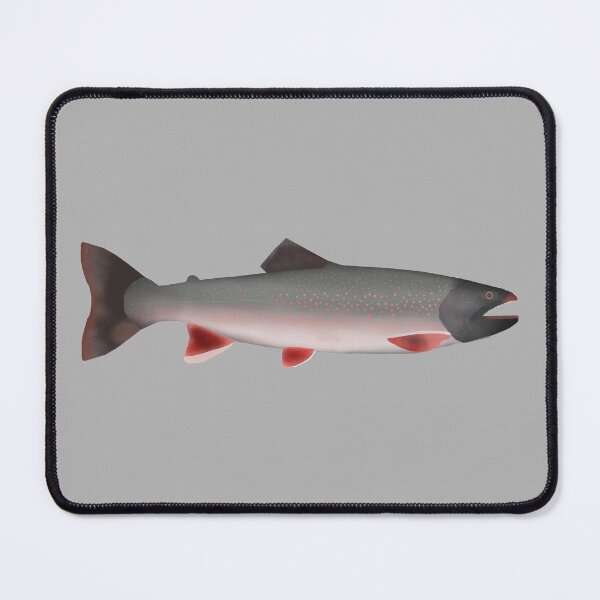 Item preview, Windermere Char designed and sold by fishfolkart.