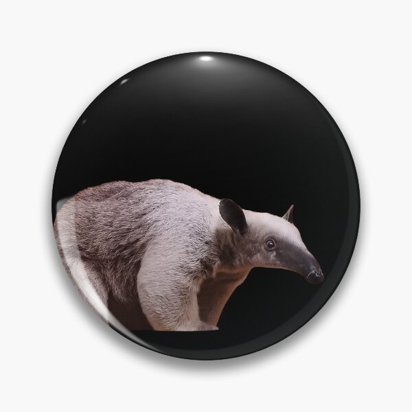 Flavvore Tamandua Pose | Sticker