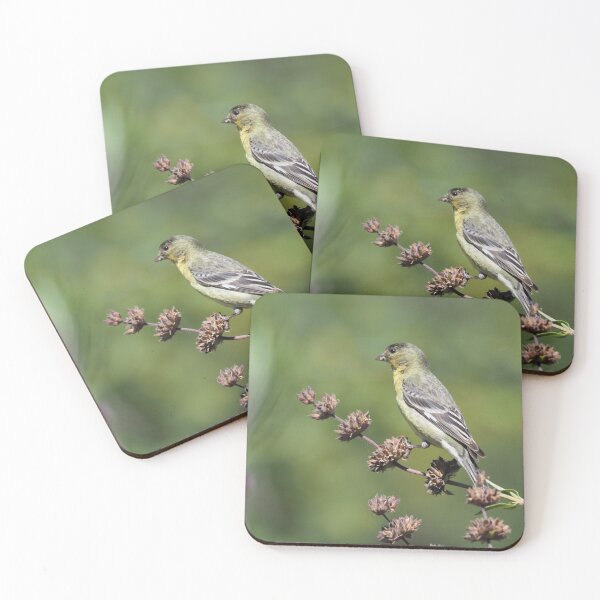 Item preview, Lesser Goldfinch designed and sold by happynaturalist.