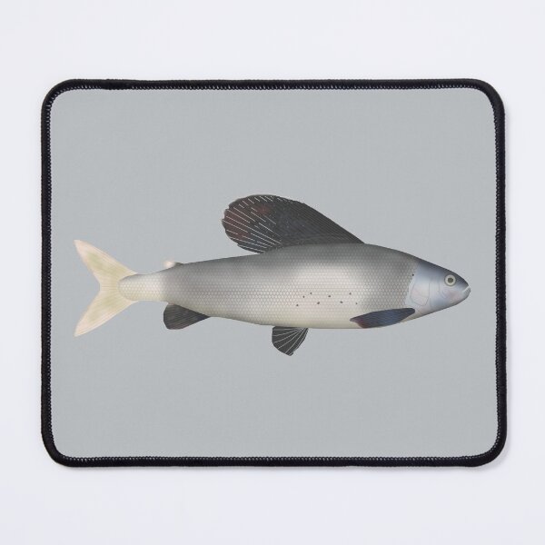 Item preview, East Siberian Grayling designed and sold by fishfolkart.