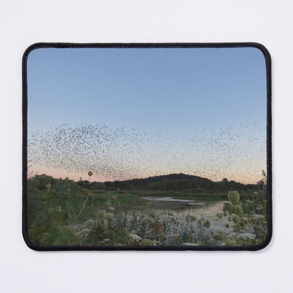 Item preview, Starling Murmuration designed and sold by happynaturalist.