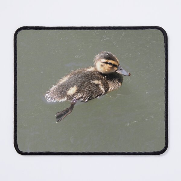 Item preview, Mallard Duckling designed and sold by happynaturalist.