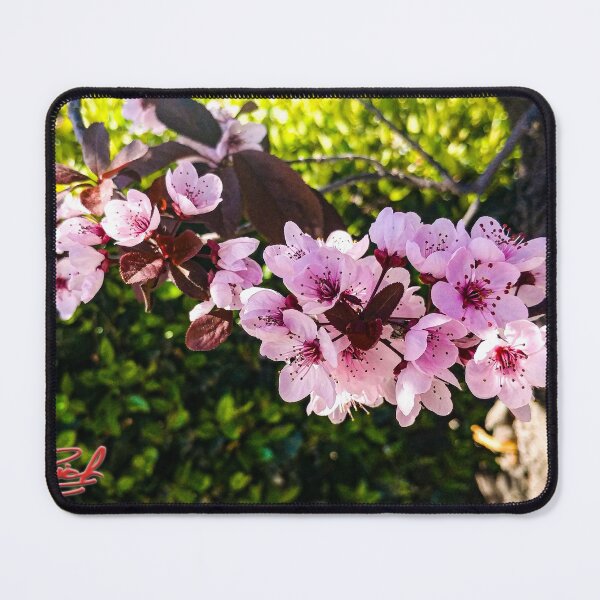 Item preview, "Tree Branch In Bloom" Image By Rich AMeN Gill designed and sold by RichAMeNGill.