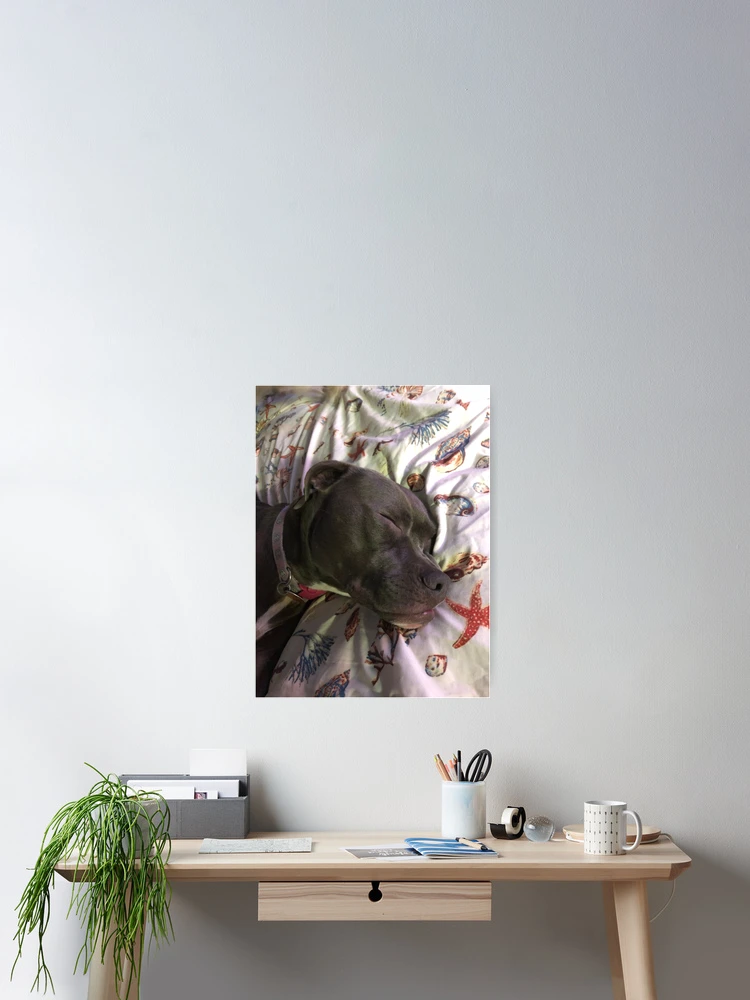 Imagen 2 de 3, Póster con la obra Vida de Ruff, diseñada y vendida por CaptureMagic.