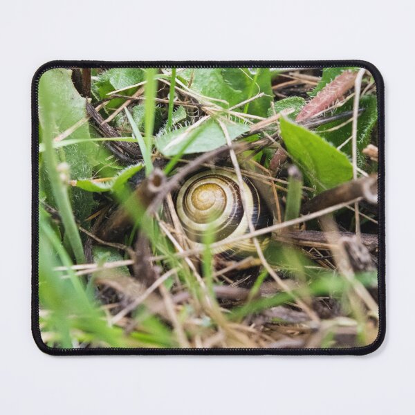 Item preview, Grove Snail #08 designed and sold by A-Snail-Life.