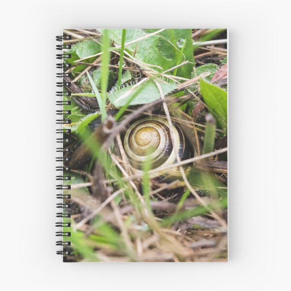 Item preview, Grove Snail #08 designed and sold by A-Snail-Life.