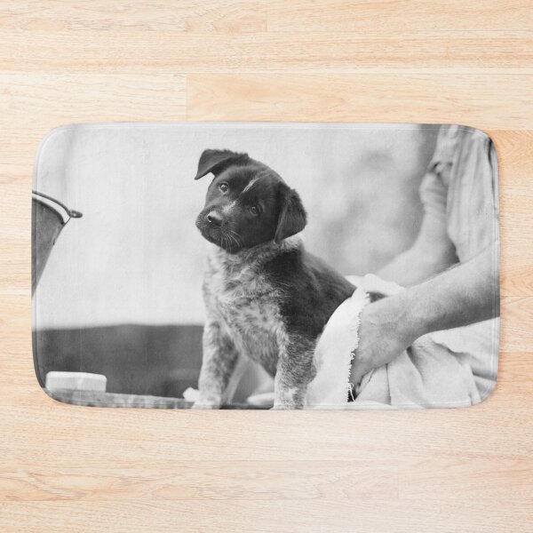 Item preview, Drying off puppy designed and sold by Night-parade.