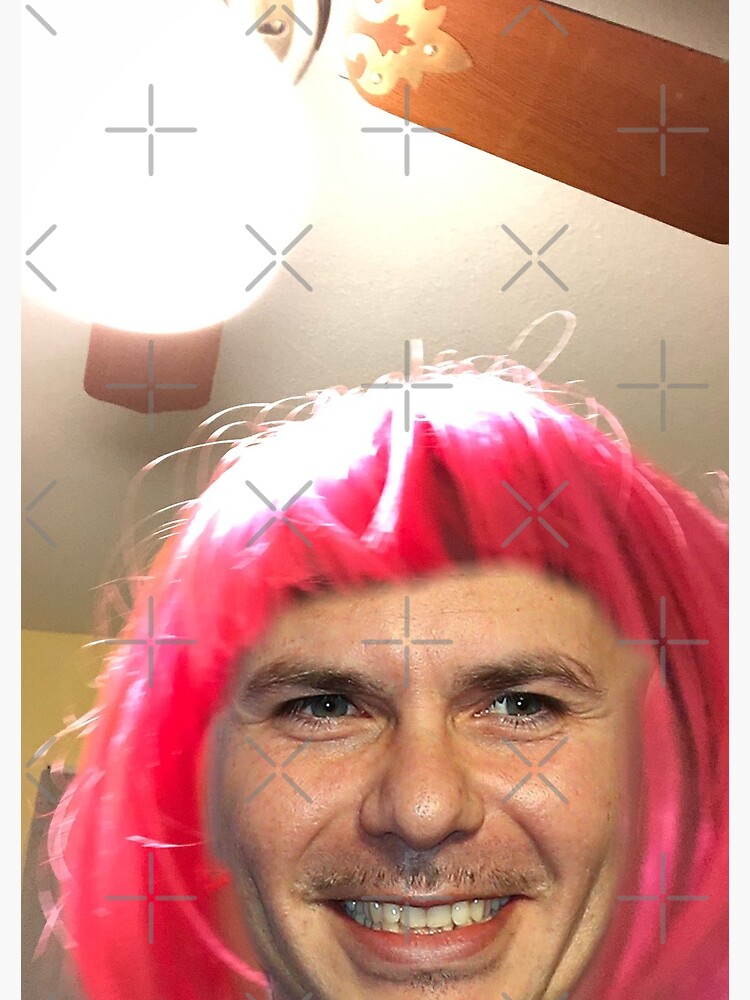Pitbull in a Pink Wig Meme