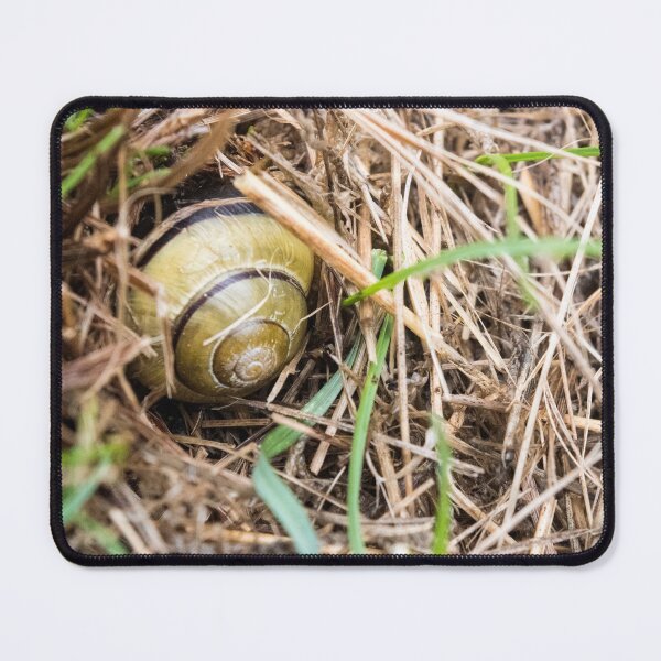 Item preview, Grove Snail #09 designed and sold by A-Snail-Life.
