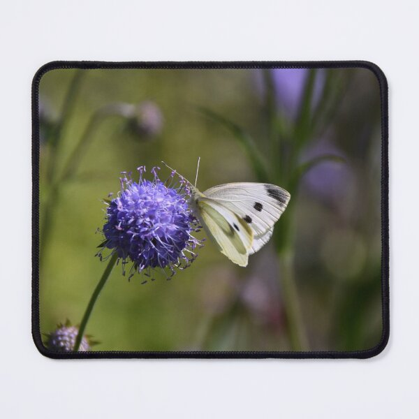 Item preview, White Sulphur Butterfly... designed and sold by Poete100.