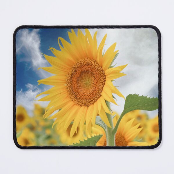 Item preview, Sunflower Dream Part Two designed and sold by lmocimages.