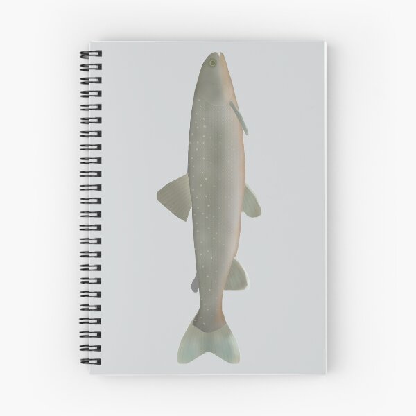 Item preview, Ammersee Char designed and sold by fishfolkart.