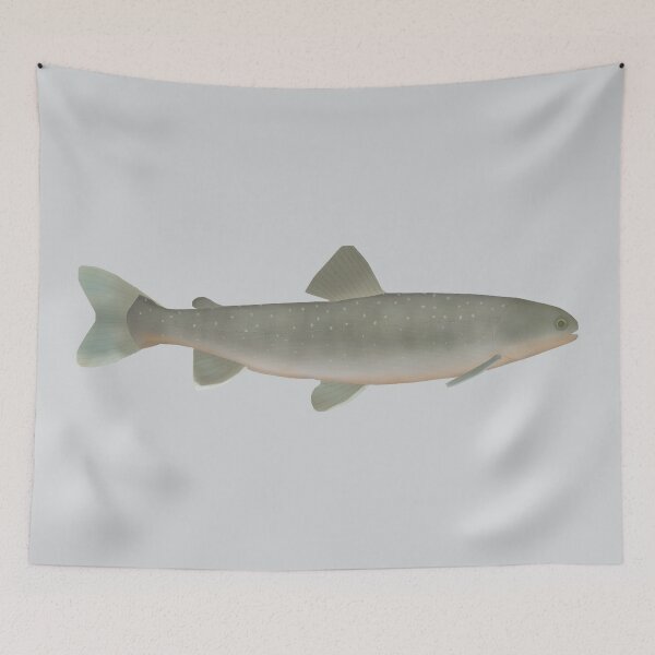 Item preview, Ammersee Char designed and sold by fishfolkart.