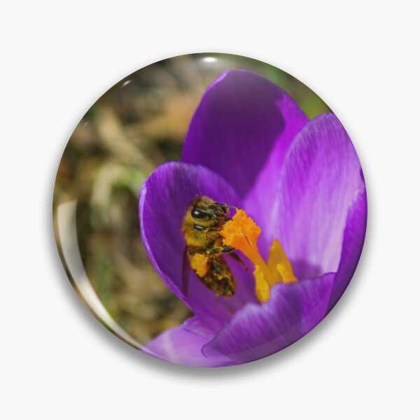 Item preview, H0147 Honey Bee designed and sold by photographyemd.