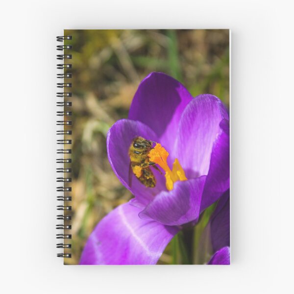Item preview, H0147 Honey Bee designed and sold by photographyemd.