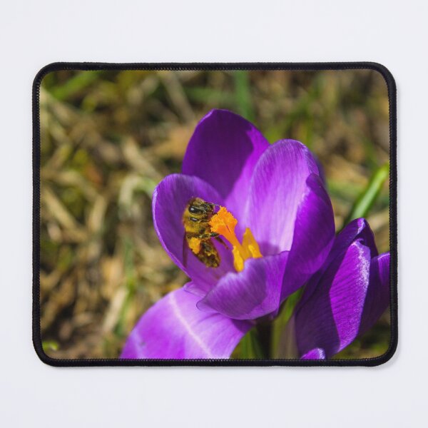 Item preview, H0147 Honey Bee designed and sold by photographyemd.