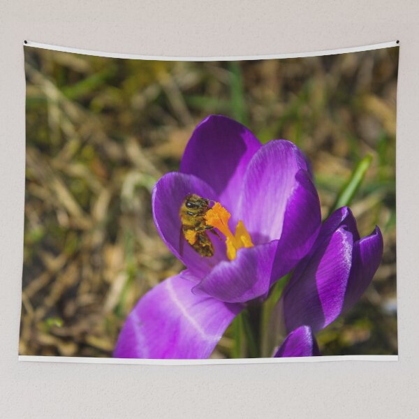 Item preview, H0147 Honey Bee designed and sold by photographyemd.
