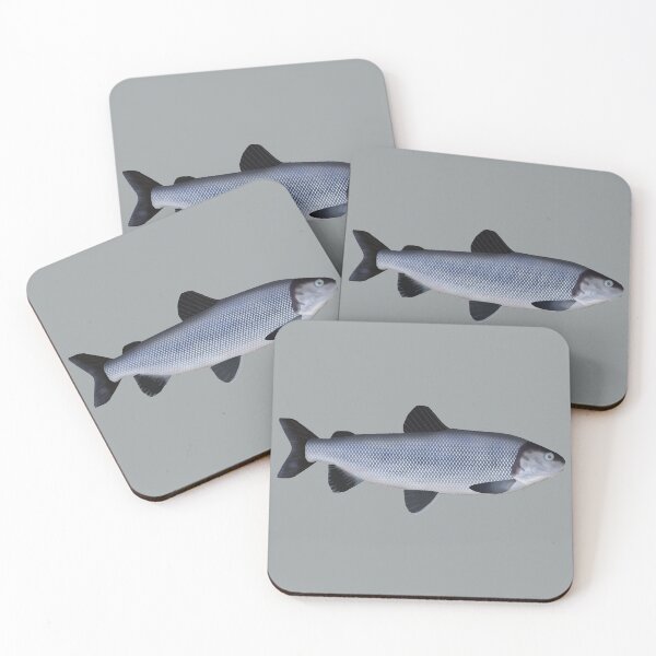 Item preview, Broad Whitefish designed and sold by fishfolkart.