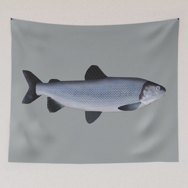 Item preview, Broad Whitefish designed and sold by fishfolkart.