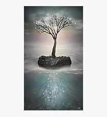 The Roots Below the Earth Photographic Print