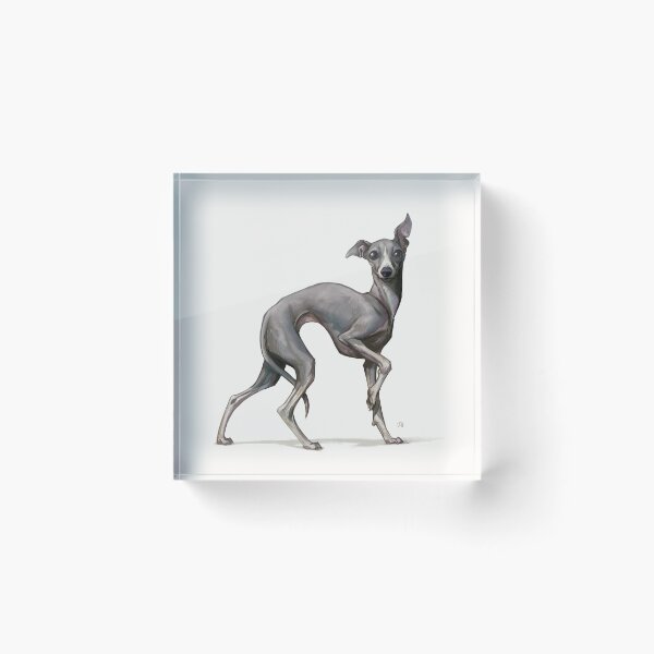 Item preview, Italian Greyhound designed and sold by Znodden.