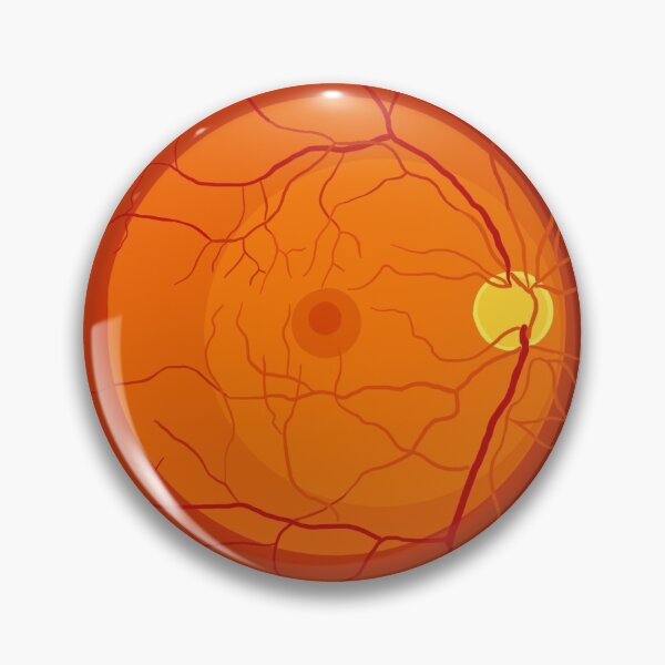 Item preview, retina posterior pole macula eye  designed and sold by roadtood.