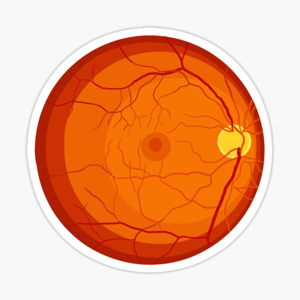 Item preview, retina posterior pole macula eye  designed and sold by roadtood.