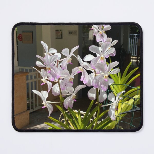 Item preview, Gardening designed and sold by NurseLifestat.