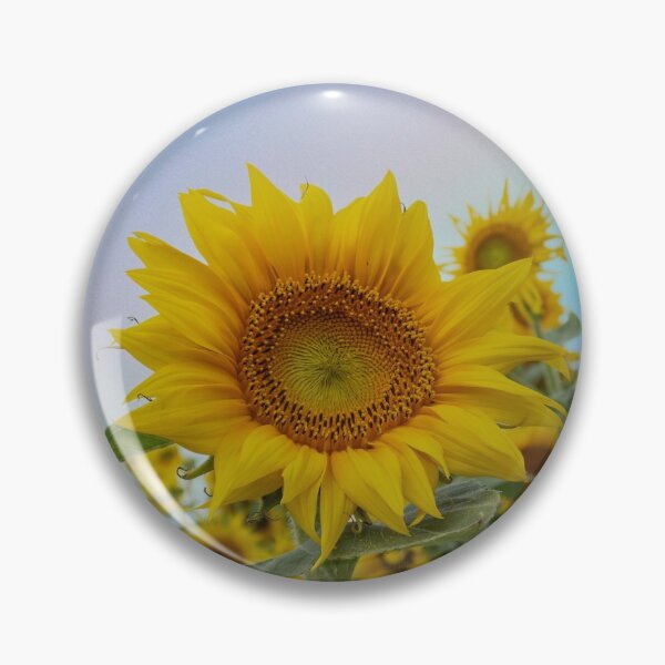 Item preview, Sunflower With A Rainbow Sky designed and sold by lmocimages.