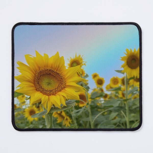 Item preview, Sunflower With A Rainbow Sky designed and sold by lmocimages.