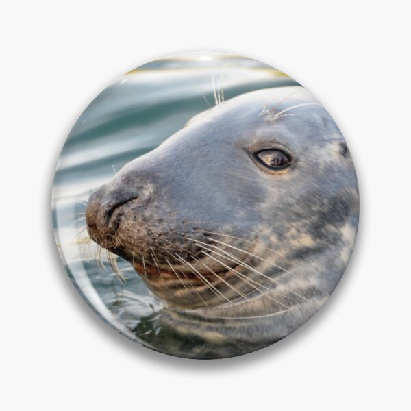 Item preview, Cheeky Scottish Seal Photograph designed and sold by Braw-Merch.