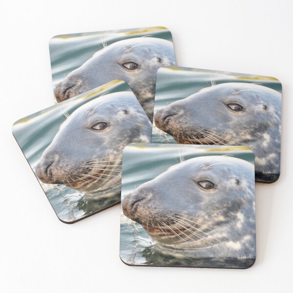 Item preview, Cheeky Scottish Seal Photograph designed and sold by Braw-Merch.