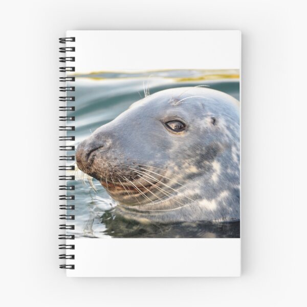 Item preview, Cheeky Scottish Seal Photograph designed and sold by Braw-Merch.