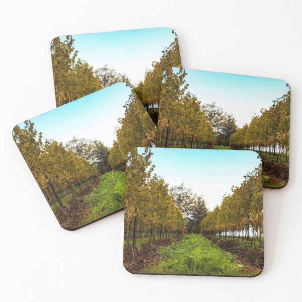 Item preview, H0169 Grapevines designed and sold by photographyemd.